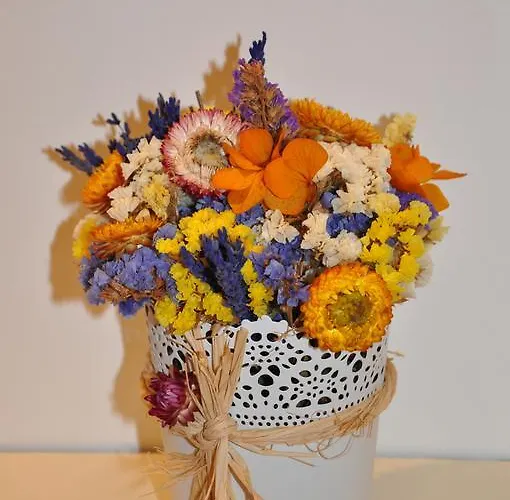 Apartman Clerigos-h Porto